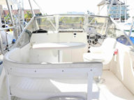 Shamrock 26 - Pesca en Riviera Nayarit