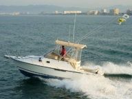 Shamrock 26 - Pesca en Riviera Nayarit