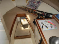 Shamrock 26 - Pesca en Riviera Nayarit