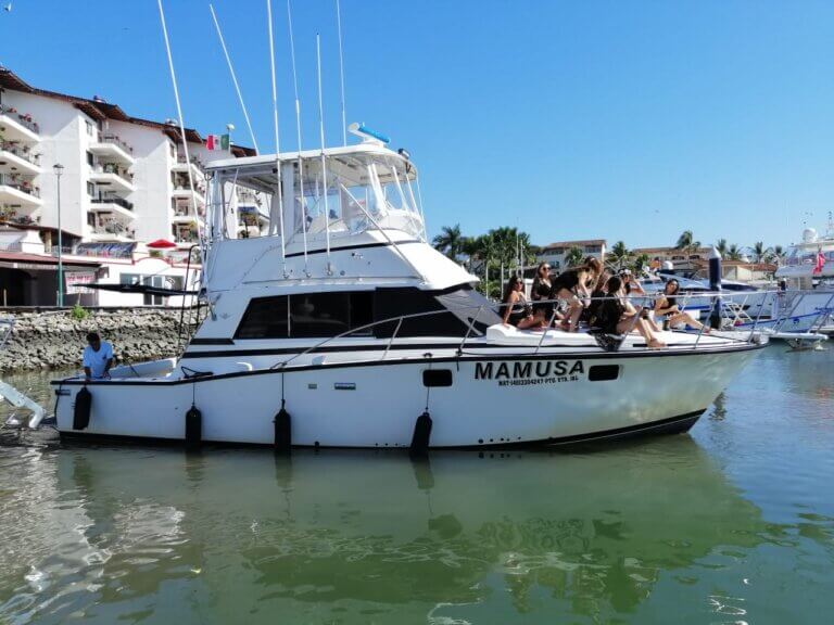 Our Mamusa 40 offers something for everyone in your group (up to 8 people for fishing charters and up to 12 for sightseeing).