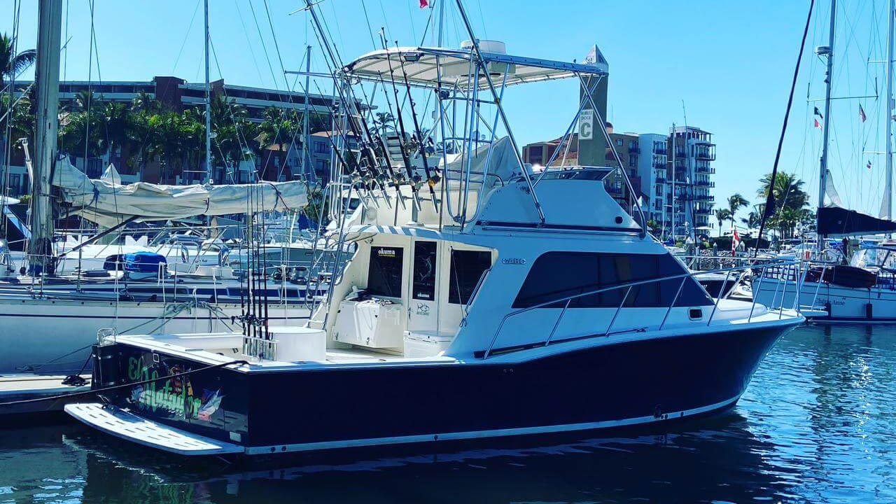 fishing-charters-in-puerto-vallarta-fondo