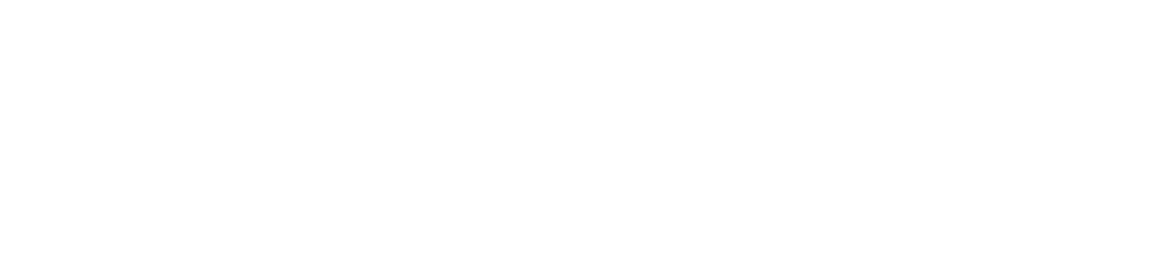 LOGOTIPO pv ffishing and sailing