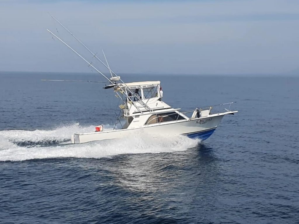 Custom 32 - Lanchas de Pesca en Puerto Vallarta