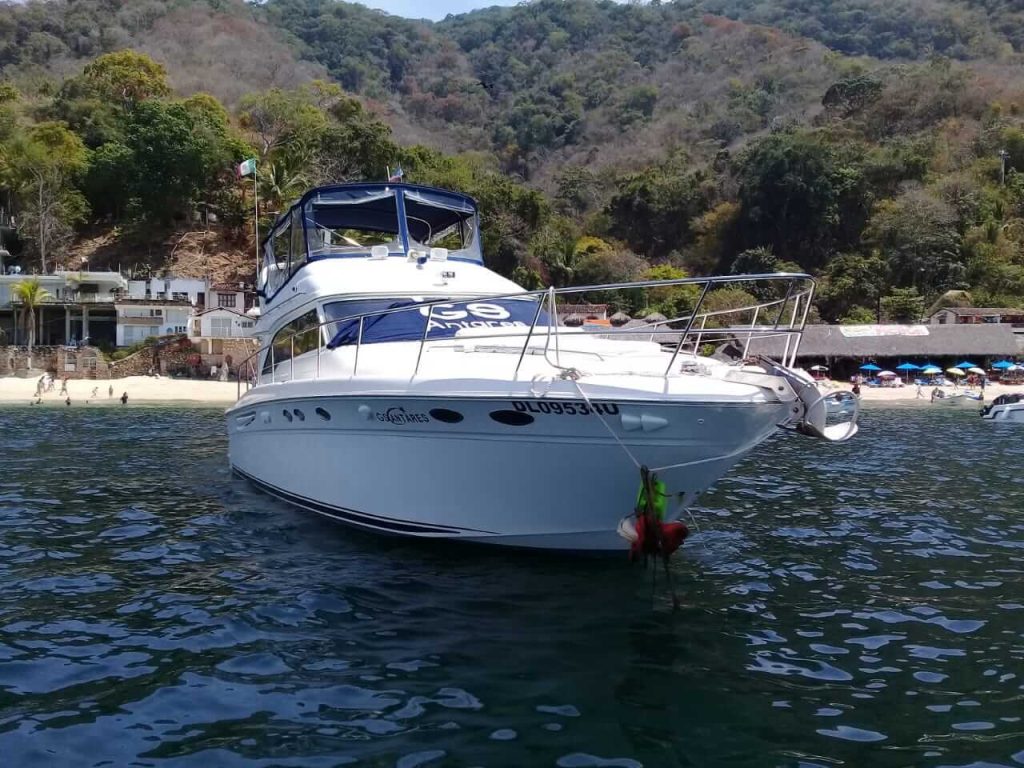 Sea Ray 50 - Punta Mita Yacht Charters