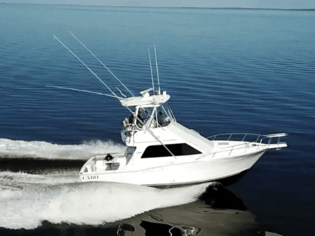 Cabo 35 Flybridge - Pesca en Riviera Nayarit