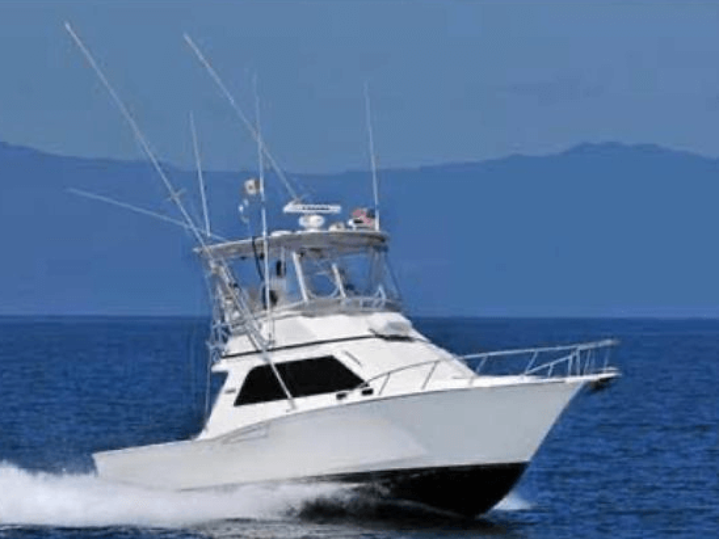 Cabo 35 - Pesca en Riviera Nayarit