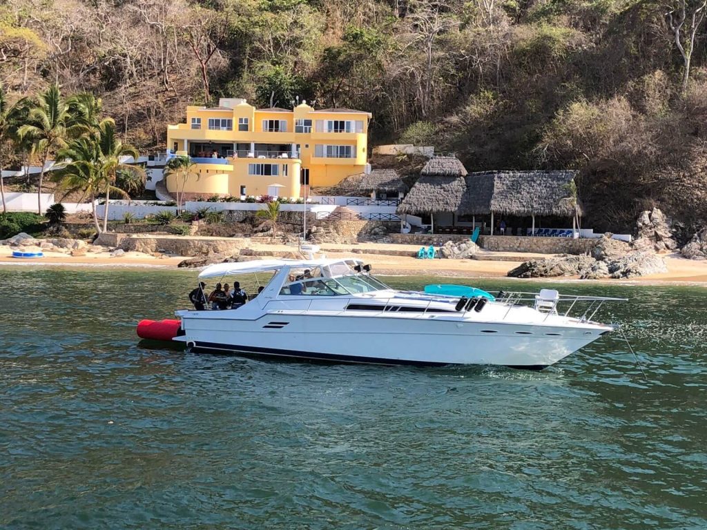 Cheap yacht in Puerto Vallarta - Sea Ray 46