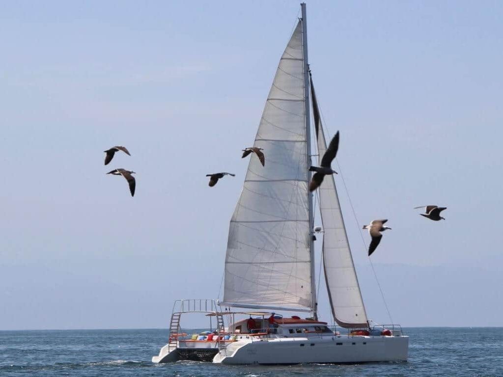 Catamaran 56 - Catmaran Nuevo Vallarta