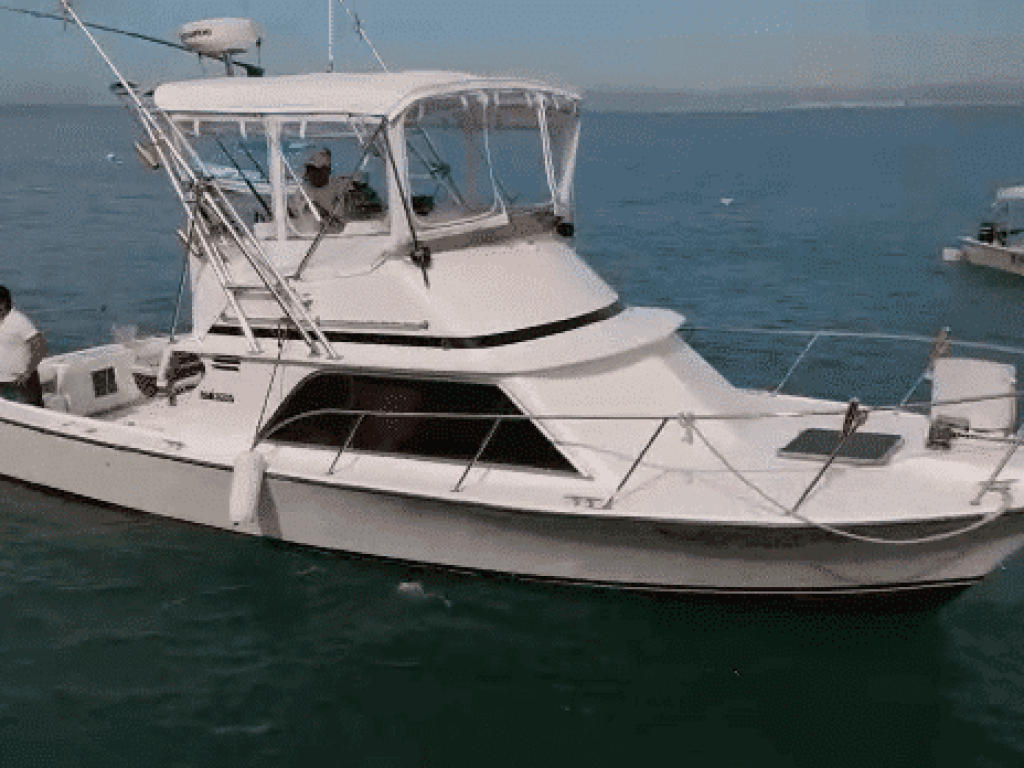 Custom 32 - Lanchas de Pesca en Puerto Vallarta