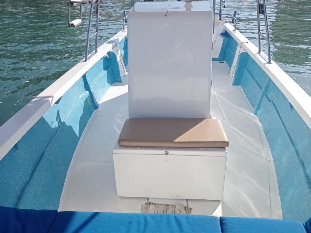 Super Panga 27 - Pangas de Pesca en Puerto Vallarta