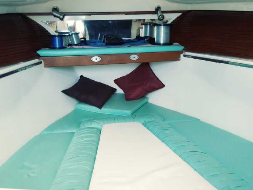 Kate 26 - Renta de Lanchas para Pesca en Puerto Vallarta