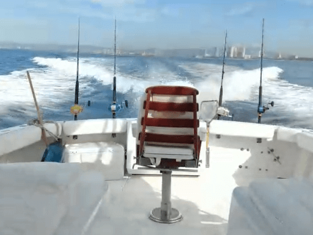Custom 32 - Lanchas de Pesca en Puerto Vallarta
