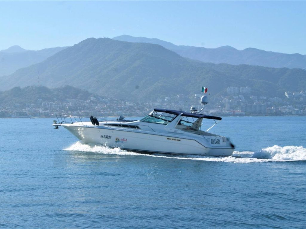 Cheap yacht in Puerto Vallarta - Sea Ray 42