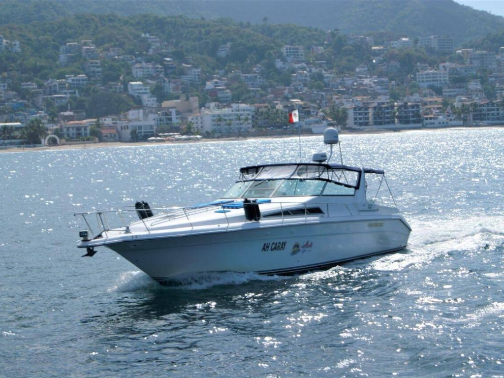 Cheap yacht in Puerto Vallarta - Sea Ray 42