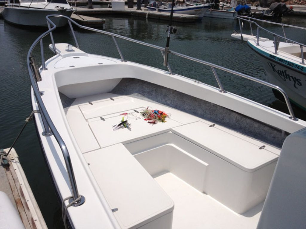 Super Panga Kathys 28 - Pangas de Pesca en Puerto Vallarta
