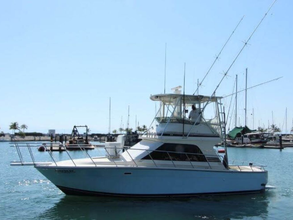 Blackfin 36 - Pesca en Riviera Nayarit