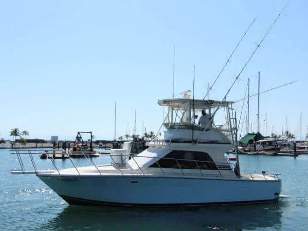 Blackfin 36 - Pesca en Riviera Nayarit
