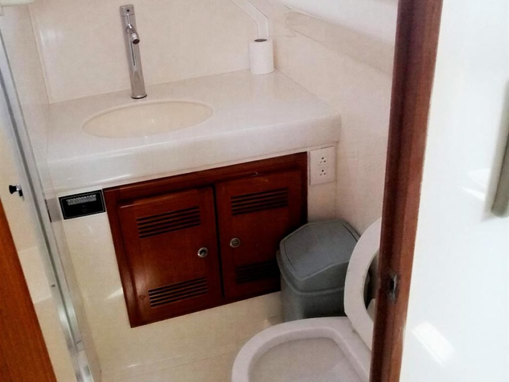 Nuevo Vallarta Fishing Charters Electra 35