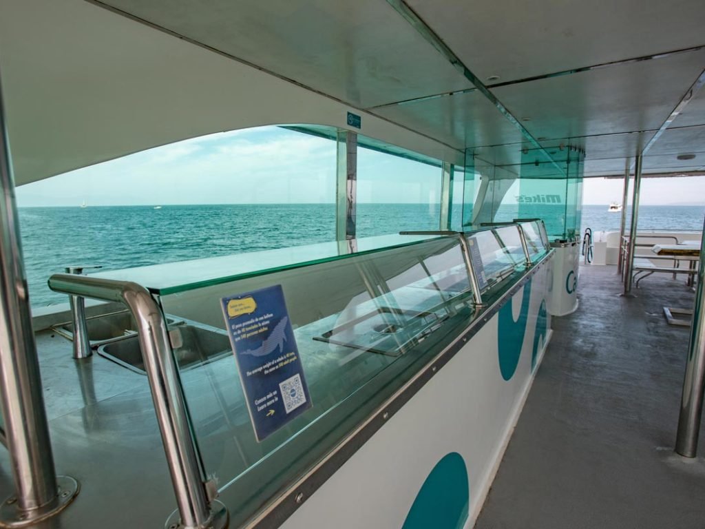 Puerto-Vallarta-Catamaran-90-FT-Charter-(4)