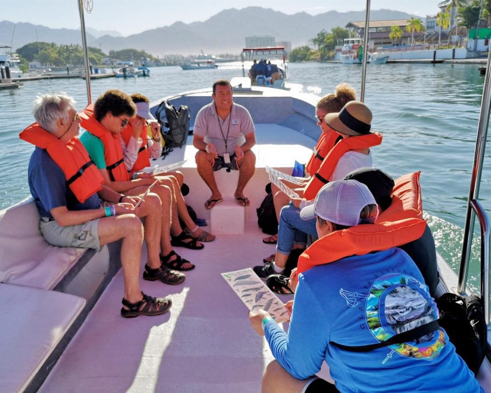 Puerto Vallarta whale watching in a speedboat