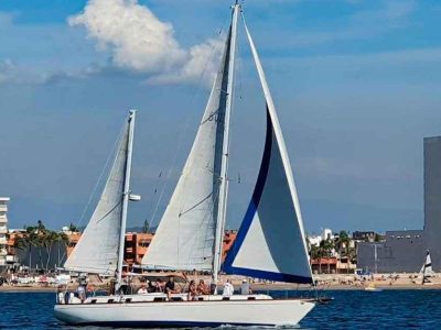 Sailboat-Whale-Watching-Puerto-Vallarta-3