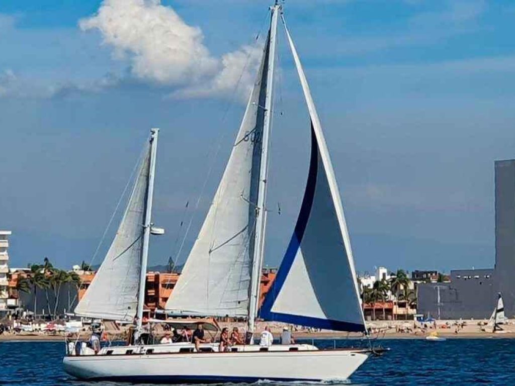Sailboat-Whale-Watching-Puerto-Vallarta-3