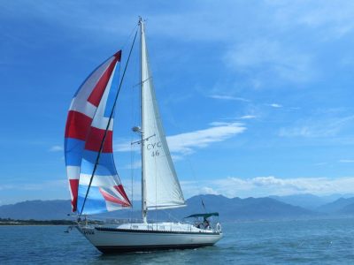 Sailboat-Whale-Watching-Puerto-Vallarta-5