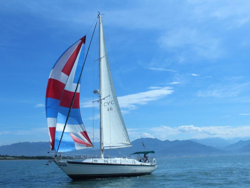 Sailboat-Whale-Watching-Puerto-Vallarta-5