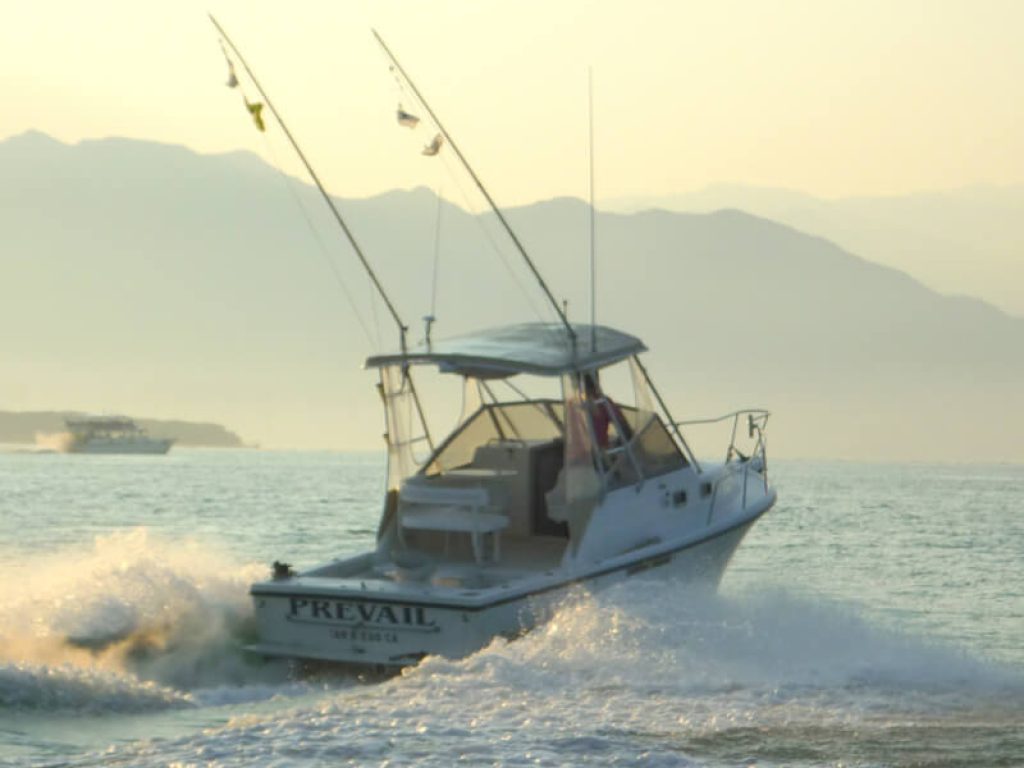 Shamrock 26 - Pesca en Riviera Nayarit