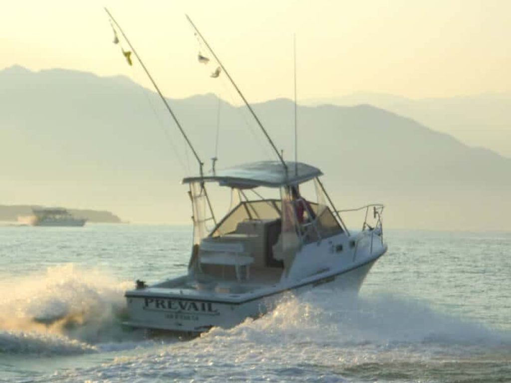 Shamrock 26 - Pesca en Riviera Nayarit