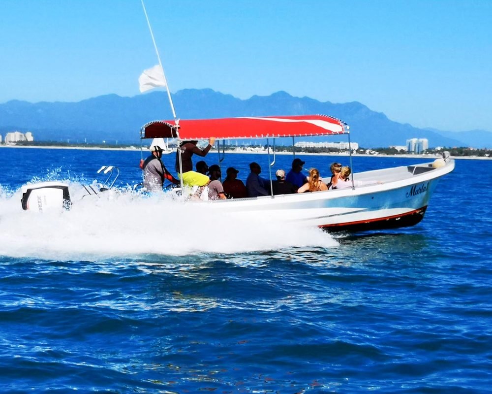 Tour de ballenas en puerto vallarta en lancha rápida