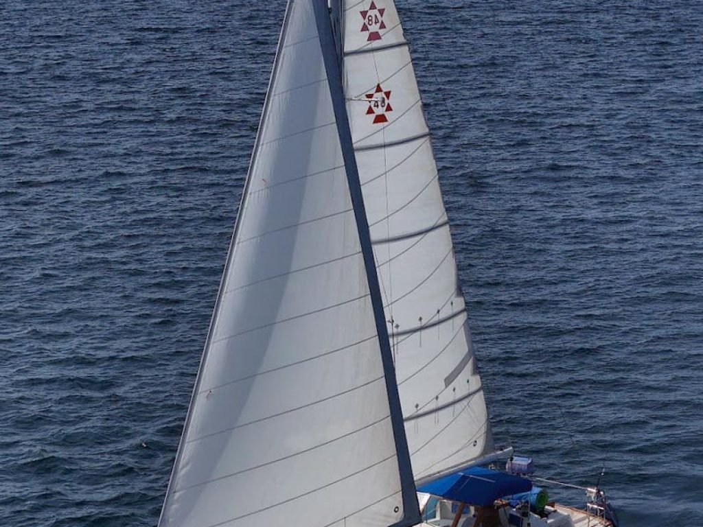 Velero en renta en Riviera Nayarit Maple Leaf 48