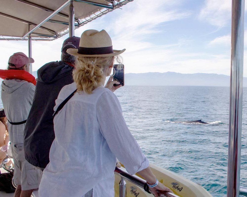 avistamiento-de-ballenas-en-puerto-vallarta-desde-catamaran