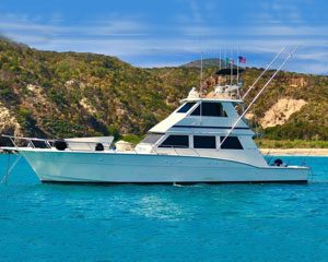 botes-por-24-horas-vallarta.jpg