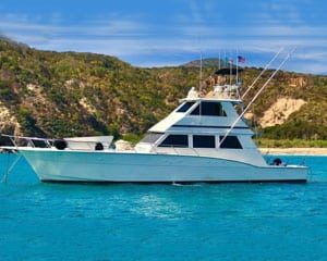 botes-por-24-horas-vallarta.jpg