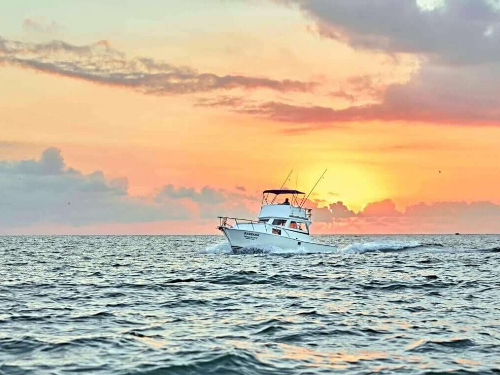 Custom 36 - Pesca Deportiva Puerto Vallarta