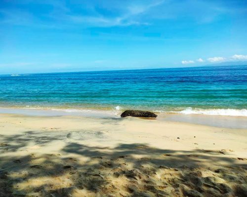 madagascar-beach-puerto-vallarta