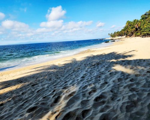 pizota-beach-puerto-vallarta
