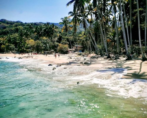 playa-pizota-en-puerto-vallarta