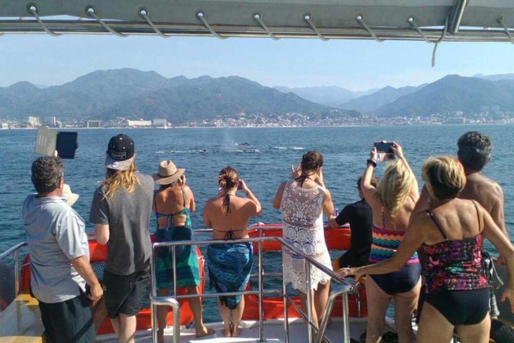 Yate 42 - Renta de Yates en Vallarta